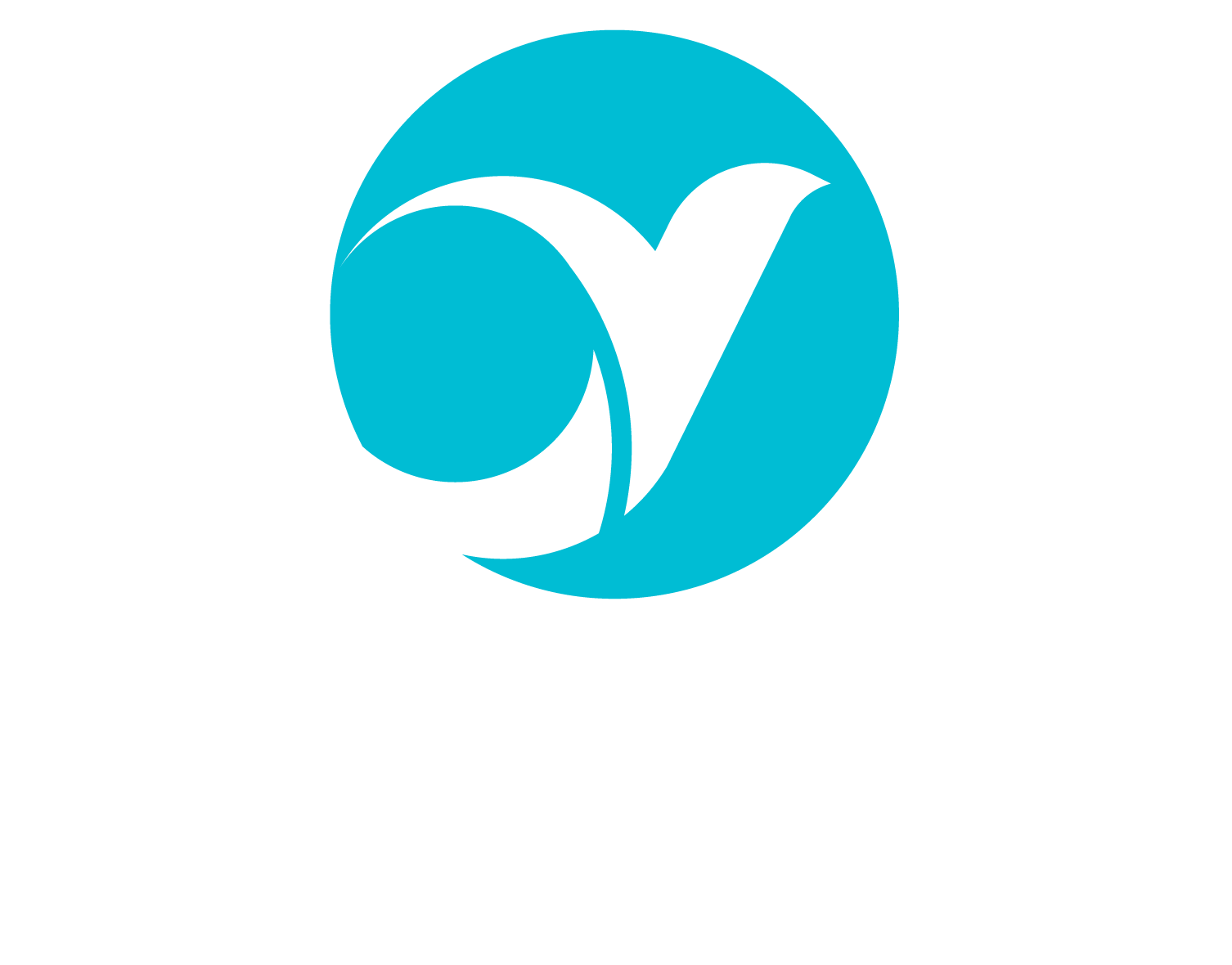 JY Global — Business Advisor & Consultancy Service